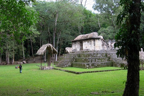mayandogs