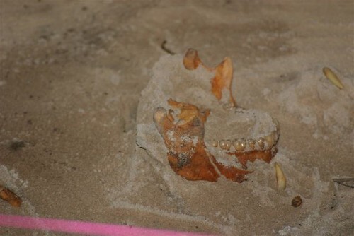 taino3