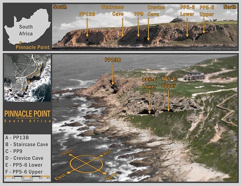 pinnaclepoint