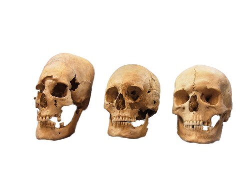 germanskulls2