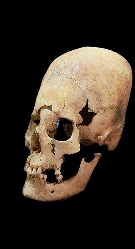 germanskulls1