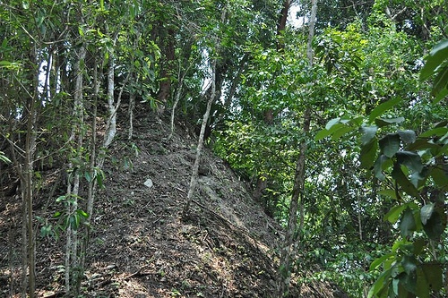 elpilar12