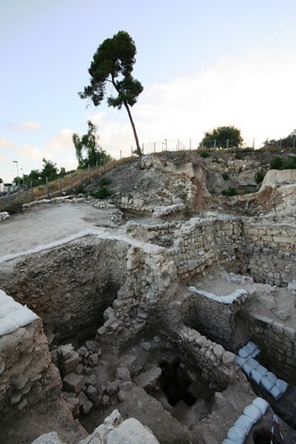 digmountzion1