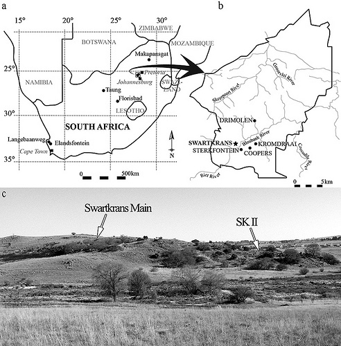 swartkrans1