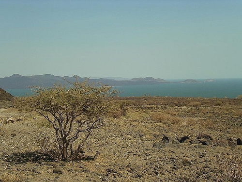 laketurkanaadampg