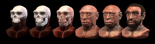 heidelbergensisciceromoraes