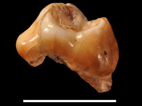 grottadelcavallo2