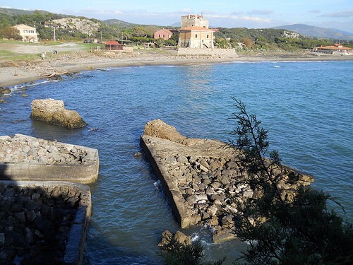 DSCN0195