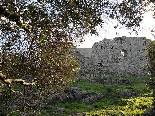 DSCN0210