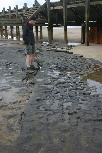 happisburgh9437