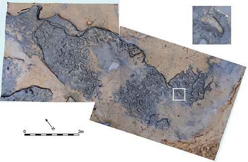 FIGURE5