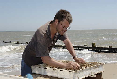 happisburgh051