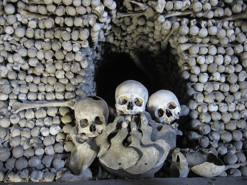 bones