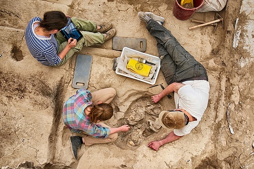 Burial Excavation in Building 80