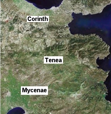 tenea1
