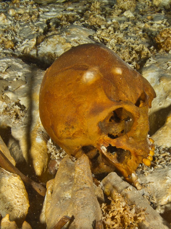 skeleton3