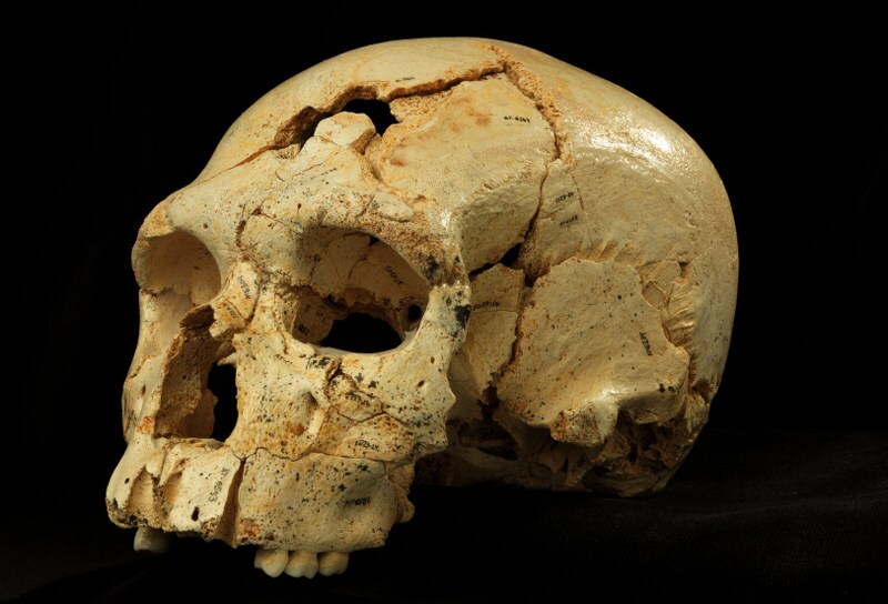 simaskull17