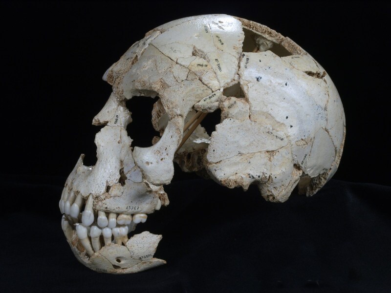 simaskull9