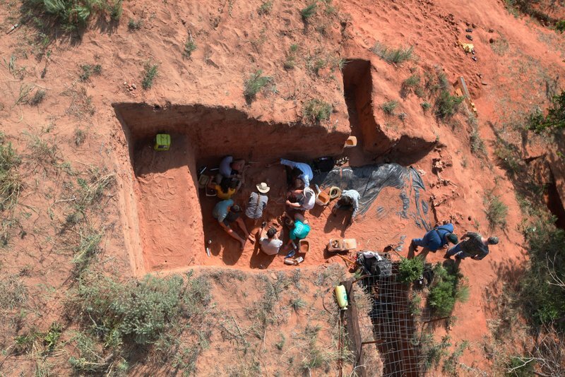 BadgerHoleDig_lumnja