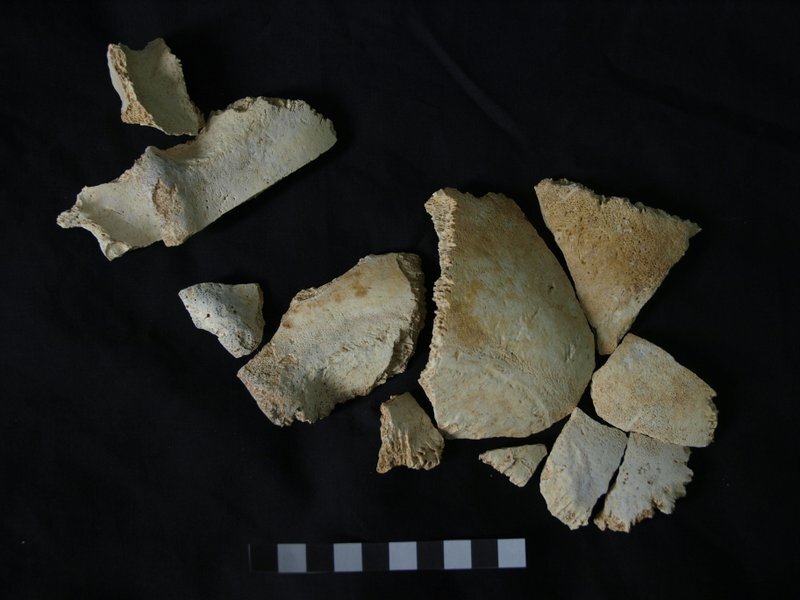 simaskull17reconstruction
