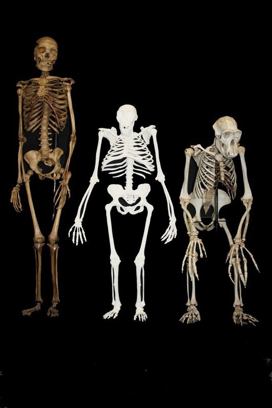 compositereconstruction
