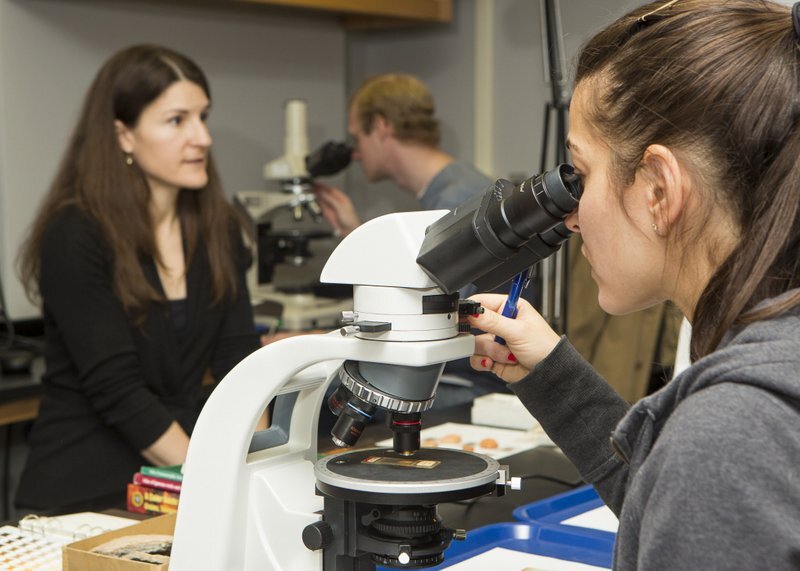 microscope