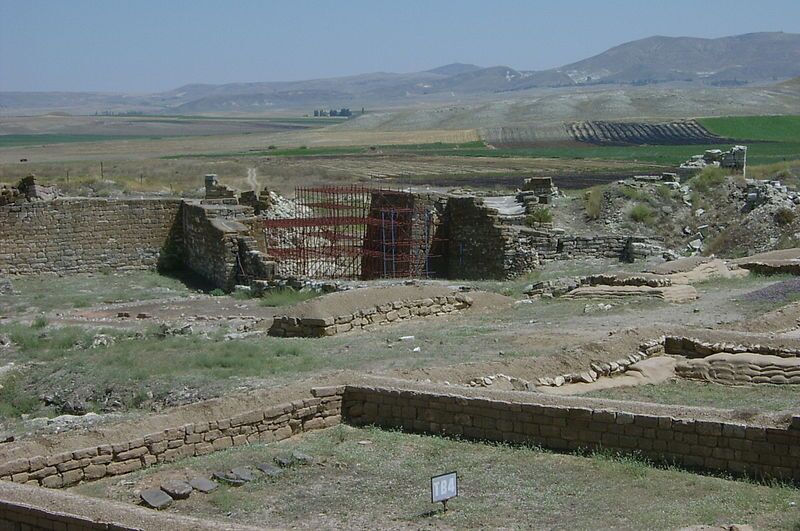 gordionstipichbela