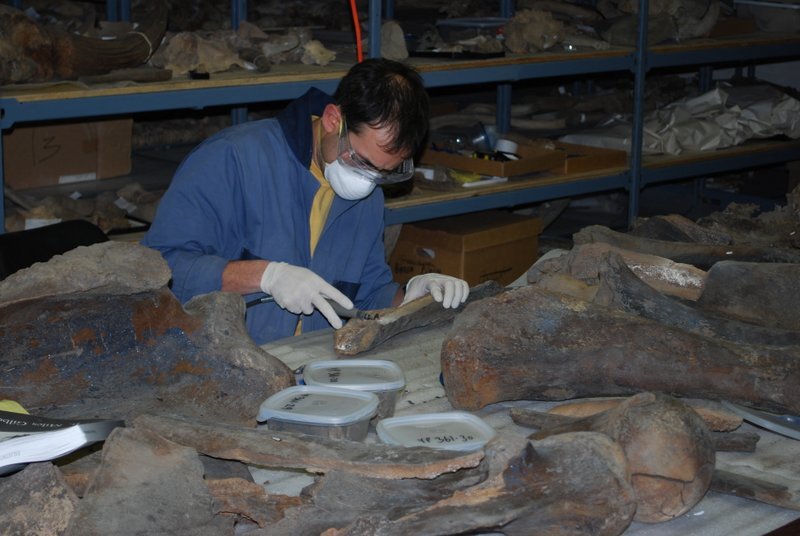 mastodonextinctionpic4