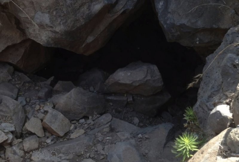 tunnelentrance3