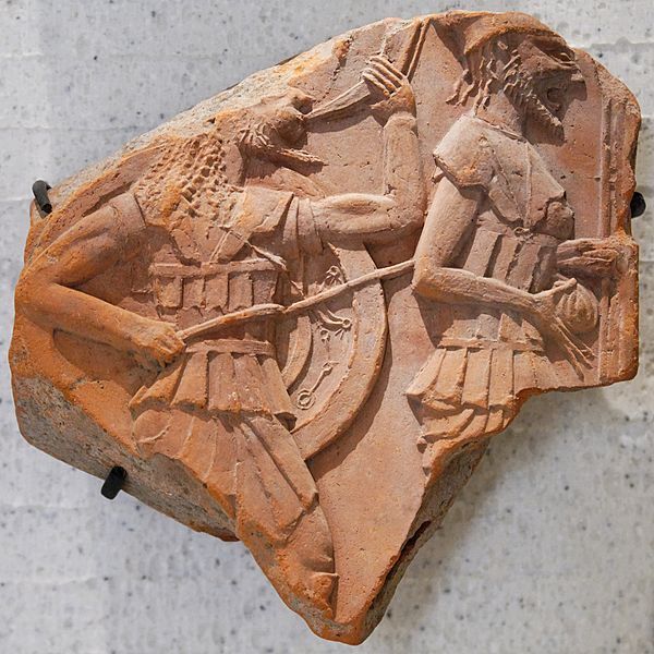 apolloniapontica2