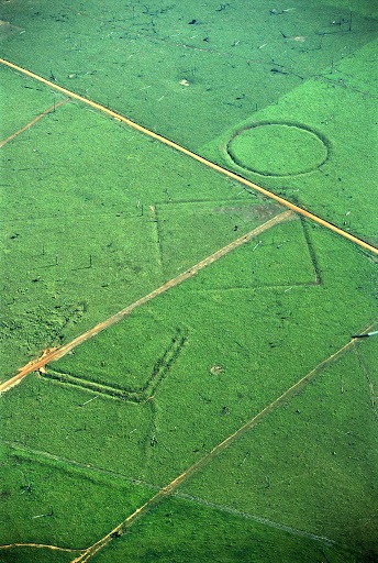 geoglyphsamazon