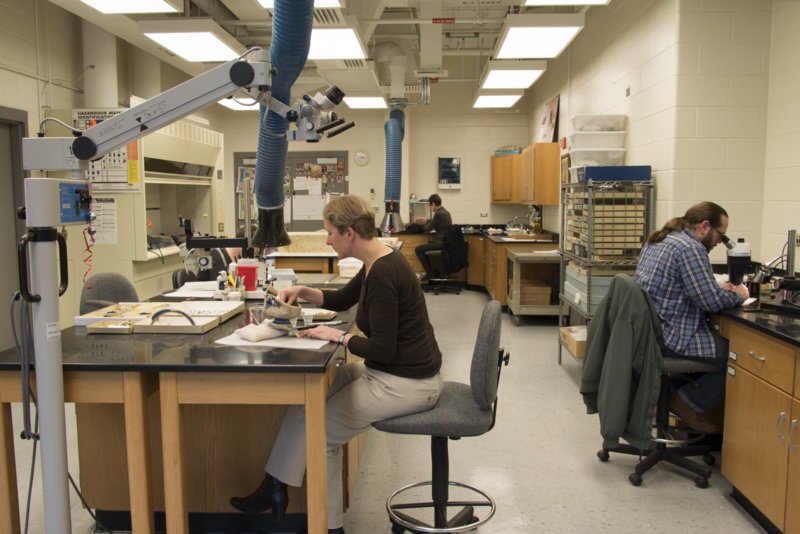 Archaeology Lab view 5