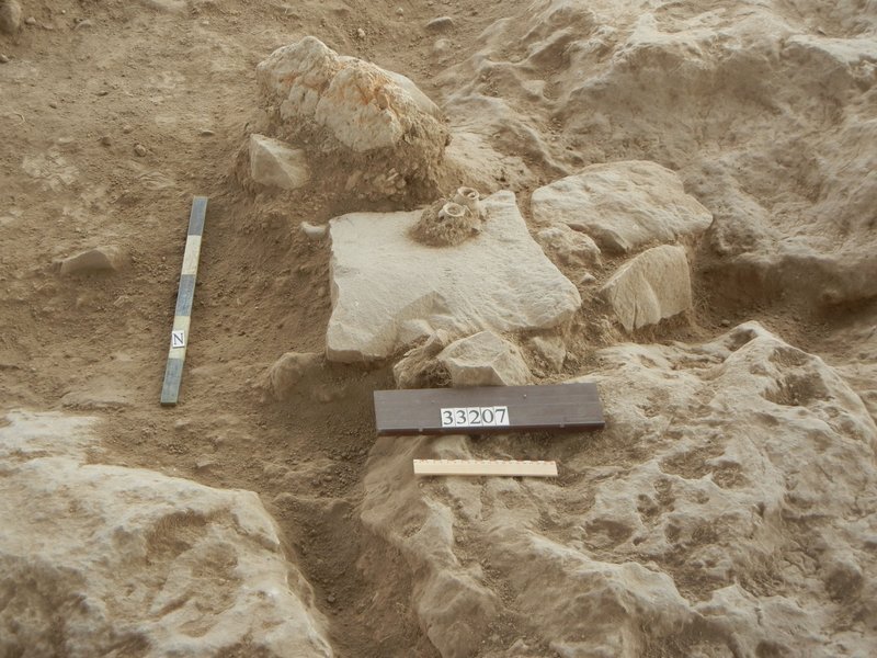 burnaFigure5