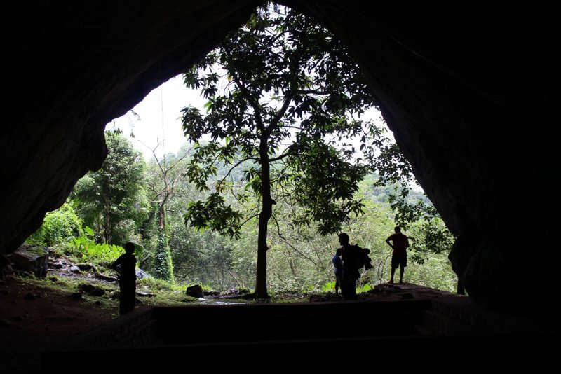 fossilteethrainforest1