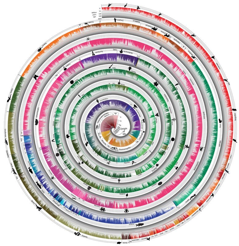 treeoflife