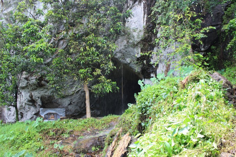 fossilteethrainforest2