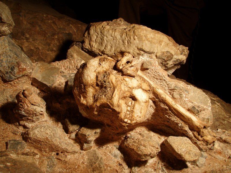 sterkfontein3