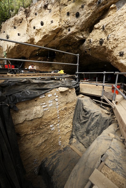 dentalgrotta