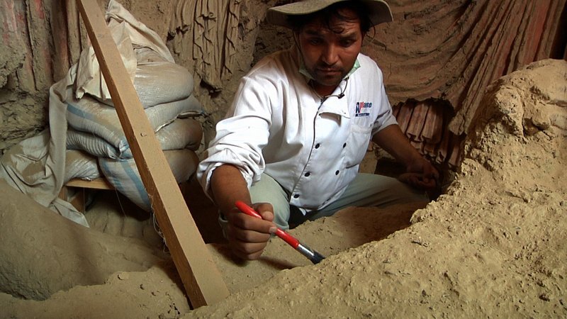 mesaynak8