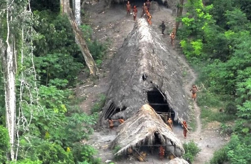 forestpeople2a