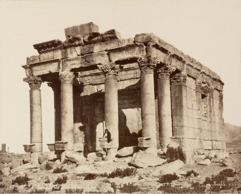 palmyraimage1
