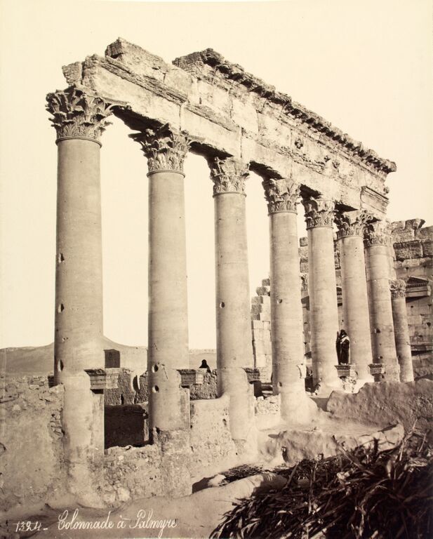 palmyraimage2