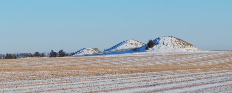 yamnaya3