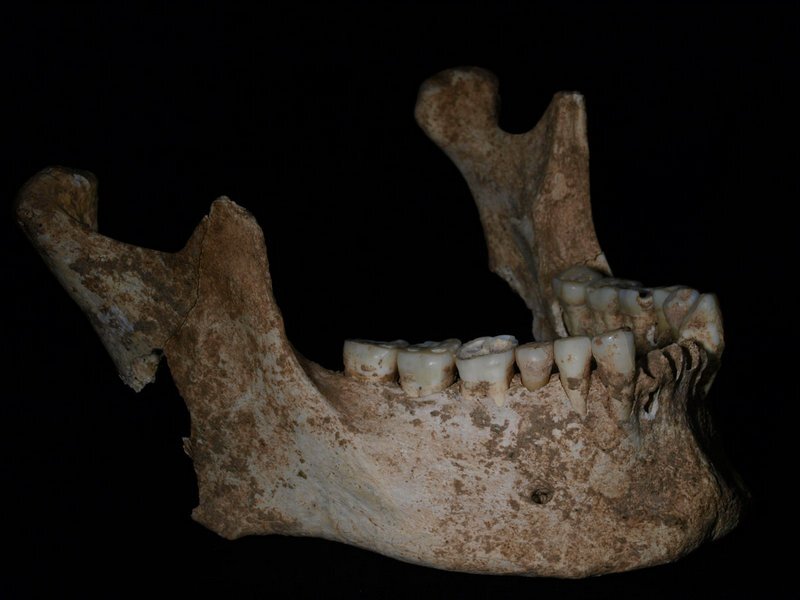 macedon3