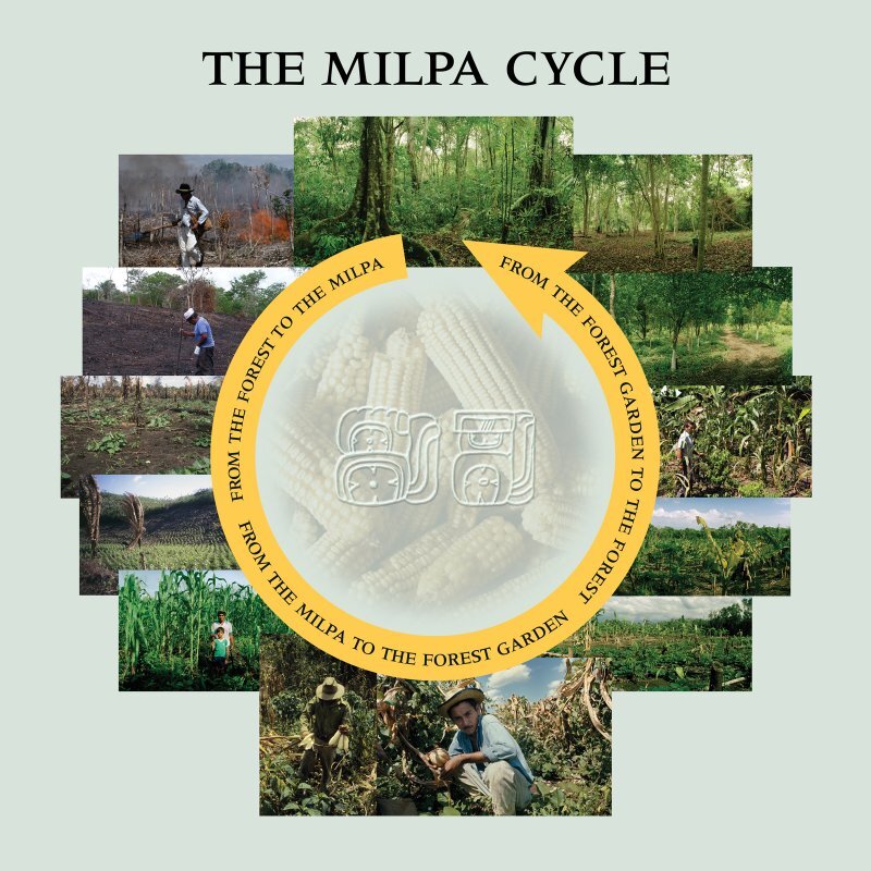 elpilarmilpacycle