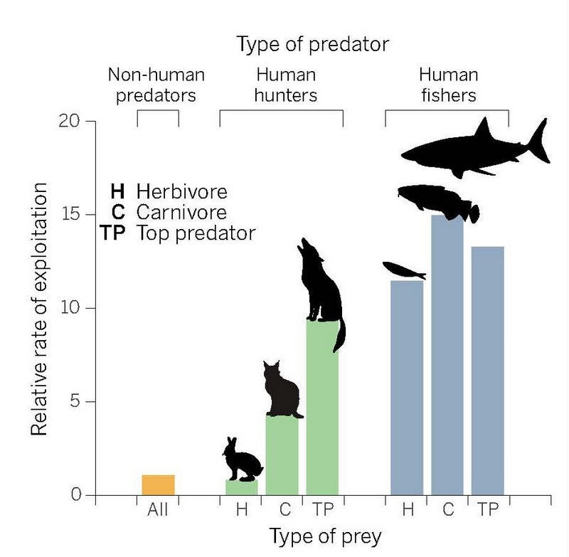 humanpredatorpic