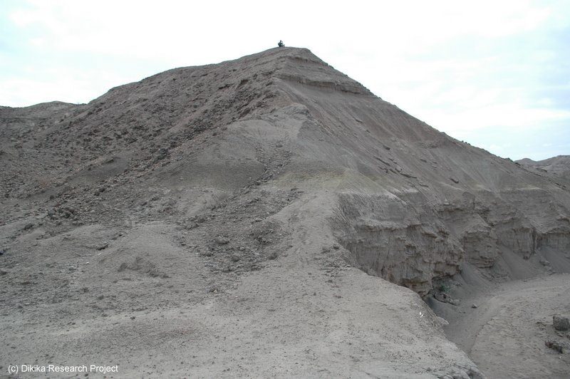 dikika3