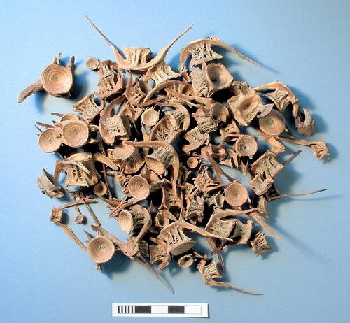 maryrose2