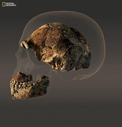 naledi5