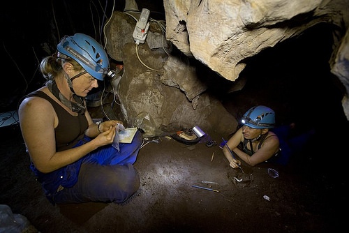 hnaledi7